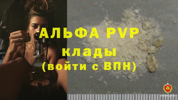 индика Абаза