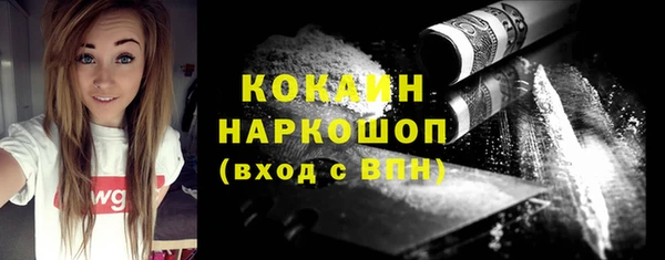 индика Абаза