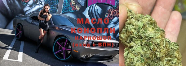 индика Абаза