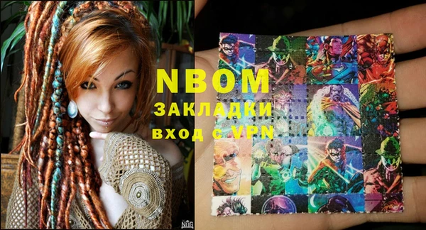 индика Абаза