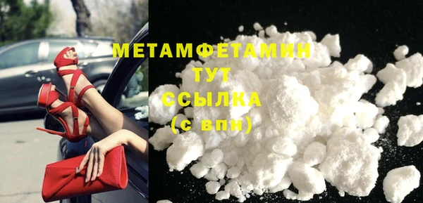 индика Абаза