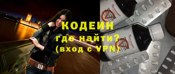 индика Абаза
