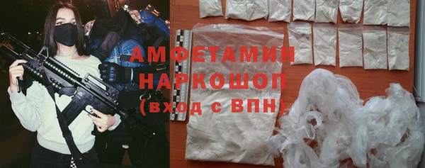 твердый Алексин