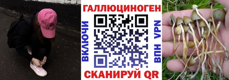 Галлюциногенные грибы прущие грибы Опочка