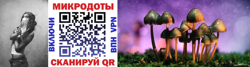Псилоцибиновые грибы Psilocybine cubensis  MEGA как зайти  Опочка 
